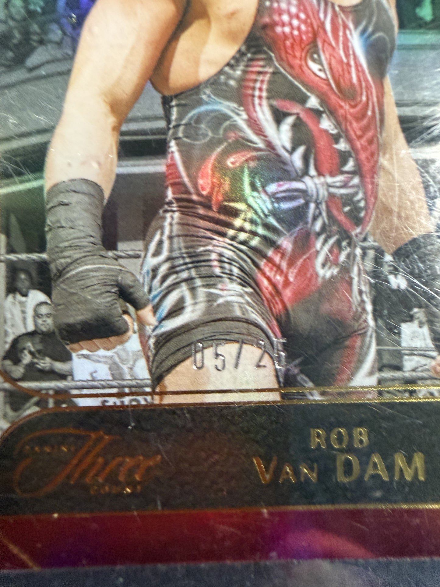 Panini Three Count 2024 - Rob Van Dam /25