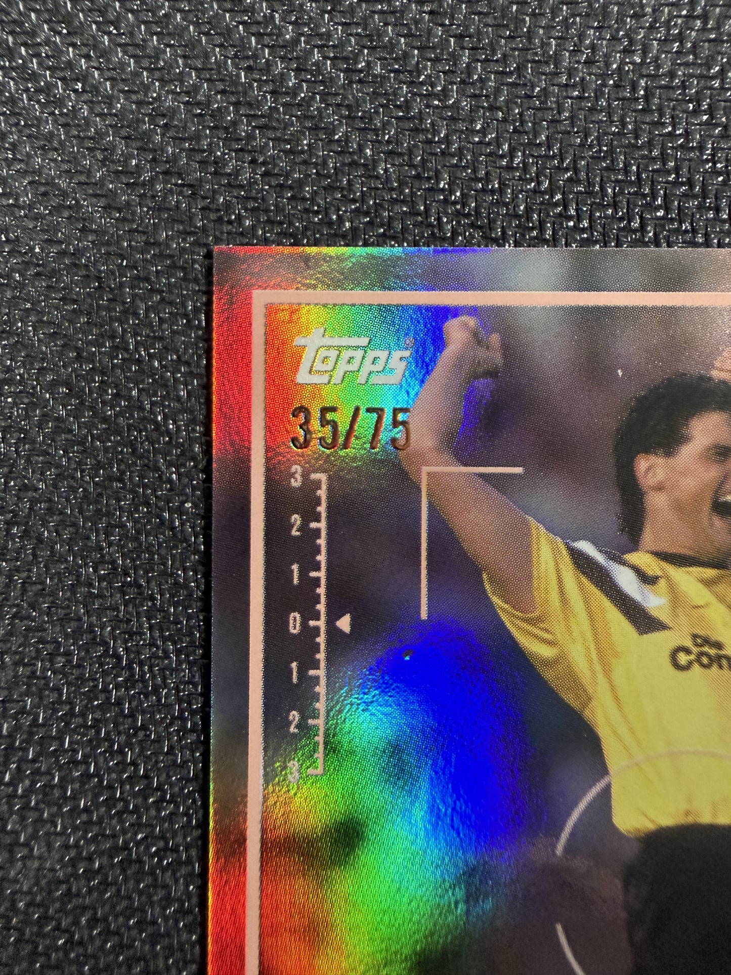 Topps Focus BVB 25/26 Norbert Dickel /75