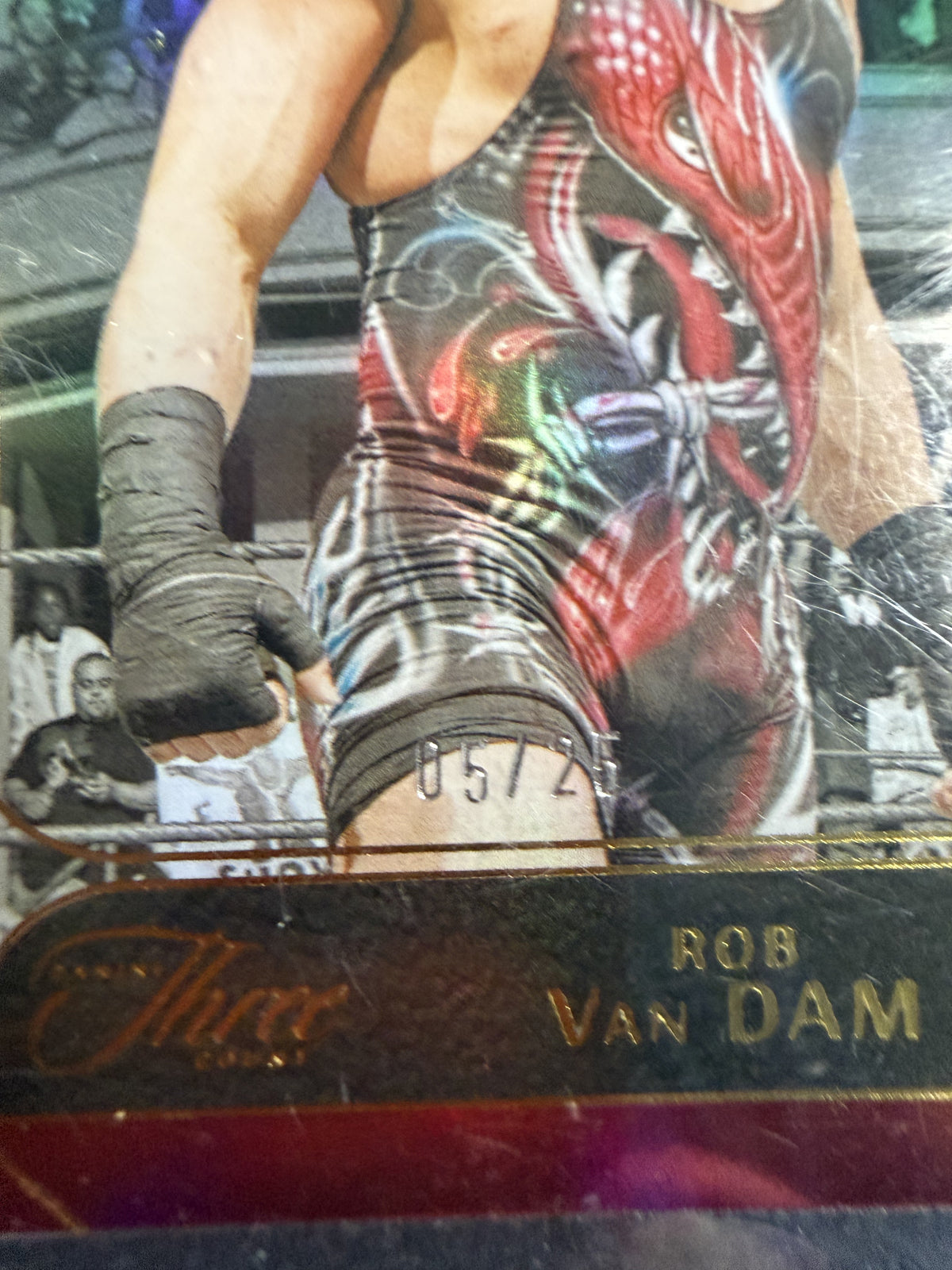 Panini Three Count 2024 - Rob Van Dam /25
